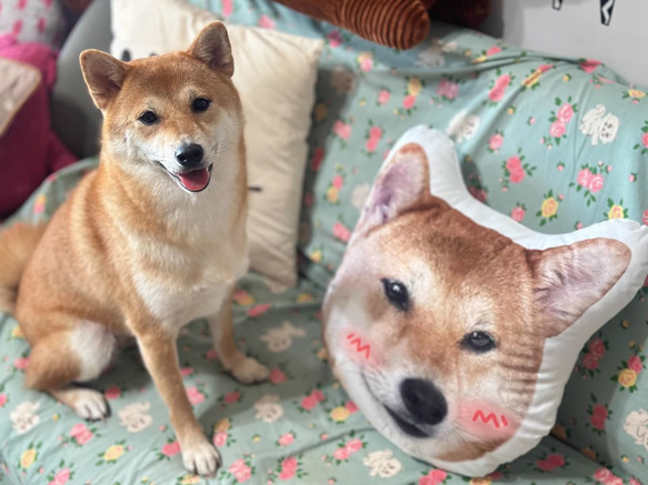 【本州送料無料】オーダーメード枕 写真枕 メモリーギフト誕生プレゼント 記念 オリジナル座布団 クッション【受注制作】 3枚目の画像