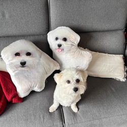 【本州送料無料】オーダーメード枕 写真枕 メモリーギフト誕生プレゼント 記念 オリジナル座布団 クッション【受注制作】 2枚目の画像