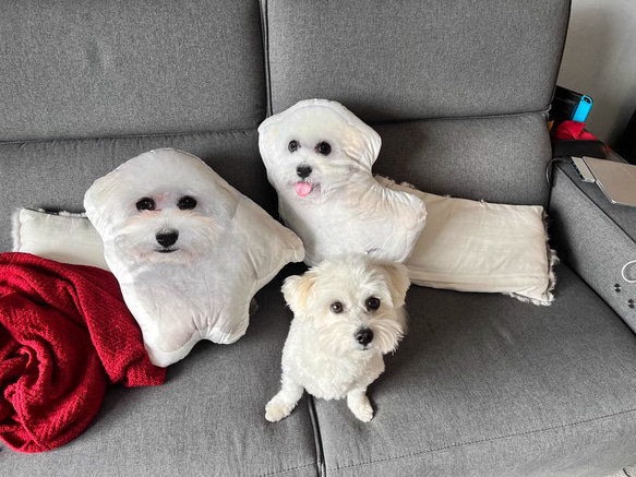 【本州送料無料】オーダーメード枕 写真枕 メモリーギフト誕生プレゼント 記念 オリジナル座布団 クッション【受注制作】 2枚目の画像