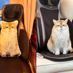 【本州送料無料】オーダーメード枕 写真枕 メモリーギフト誕生プレゼント 記念 オリジナル座布団 クッション【受注制作】 7枚目の画像