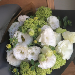 白（ホワイト） スワッグ のおすすめ人気通販｜Creema(クリーマ) 国内