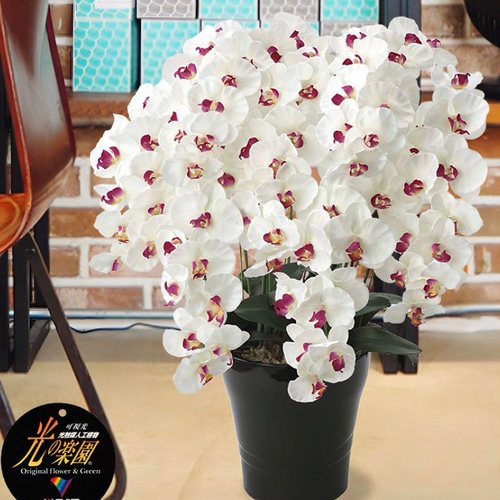 光触媒人工観葉植物フェイクグリーンプレミアム胡蝶蘭7本立W