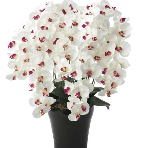 光触媒　人工観葉植物　フェイクグリーン　プレミアム胡蝶蘭7本立W/AB 光触媒 人工観葉植物 フェイクグリーン プレミアム胡蝶蘭7本立W/AB