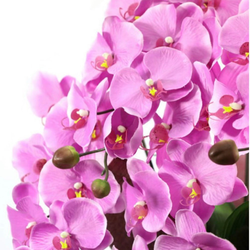 光触媒　人工観葉植物　ウォールグリーン　フェイクグリーン　エレガント胡蝶蘭L 光触媒 人工観葉植物 ウォールグリーン フェイクグリーン エレガント