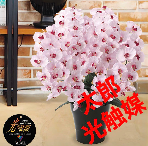 光触媒　人工観葉植物　フェイクグリーン　プレミアム胡蝶蘭7本立P 光触媒 人工観葉植物 フェイクグリーン プレミアム胡蝶蘭7本立P その他