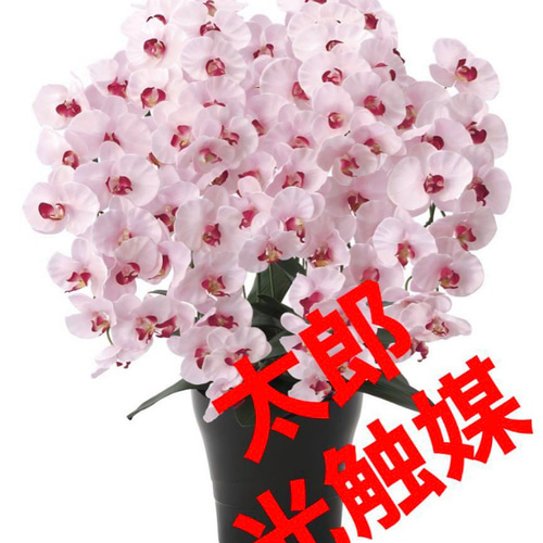 光触媒 人工観葉植物 フェイクグリーン プレミアム胡蝶蘭7本立P 【公式