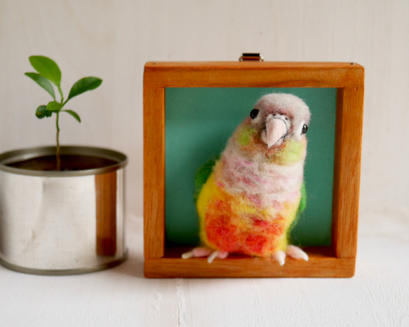 羊毛フェルト。インコ。オーダーNo.6 （羊毛フェルトのセキセイインコ 