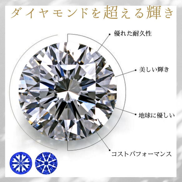  第8張的照片