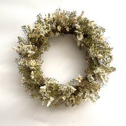 ポポラスと数種類の針葉樹をシックに紡いだ　落ち着いた雰囲気の　クリスマス　リース ポポラスと数種類の針葉樹をシックに紡いだ 落ち着いた雰囲気の