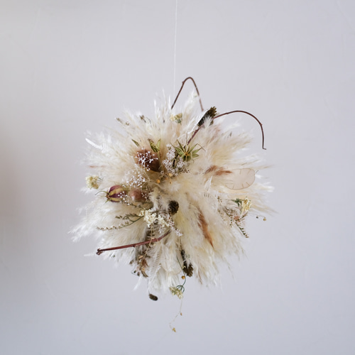 秋のふわふわパンパスグラスのフライングボール＊フライングリース