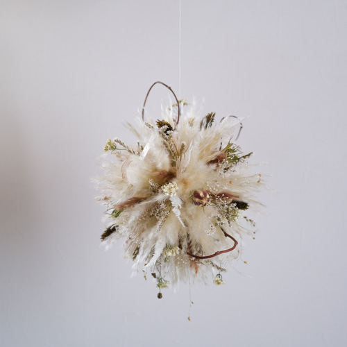 秋のふわふわパンパスグラスのフライングボール＊フライングリース