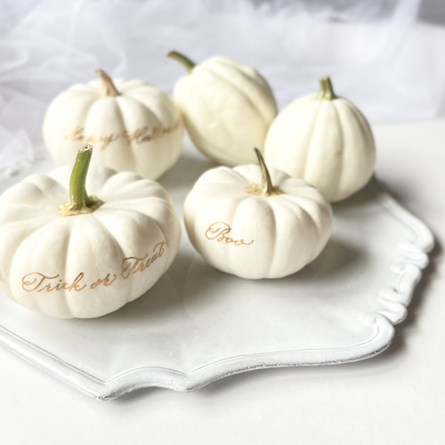 ホワイトパンプキン5つセット かぼちゃ ハロウィン ハロウィン雑貨