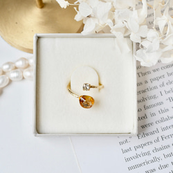 べっ甲ガラスと本物貝殻のjewelryリング 3枚目の画像