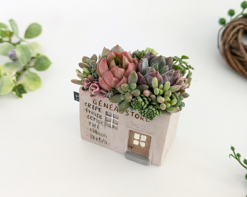 多肉植物 寄せ植え エケベリア・セダム 多肉植物♡届いたその日から飾れる寄せ植え♡エケベリア&セダム