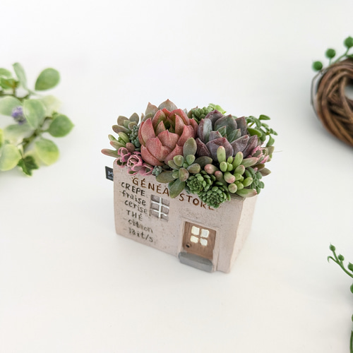 多肉植物♡届いたその日から飾れる寄せ植え♡エケベリア&セダム♡ 多肉