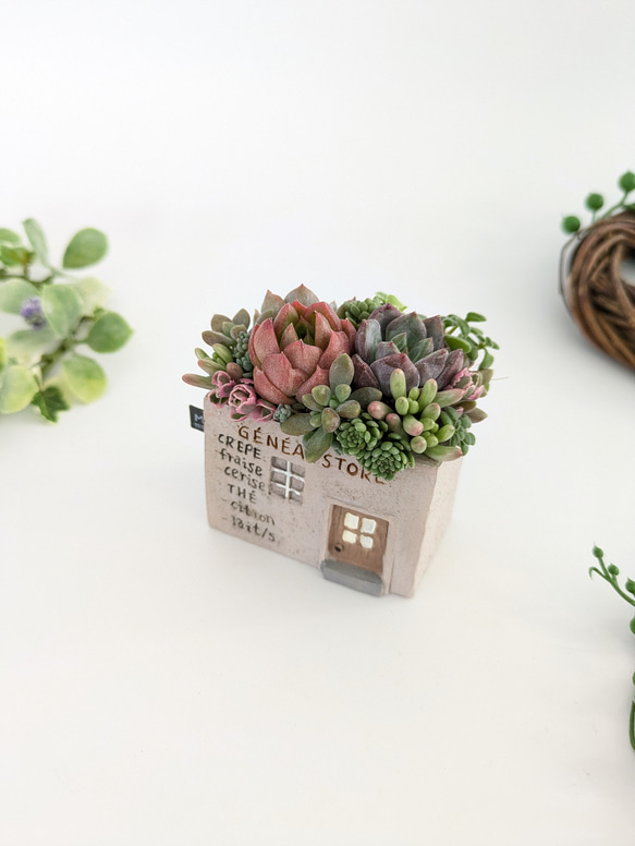 多肉植物♡届いたその日から飾れる寄せ植え♡エケベリア&セダム♡ 多肉