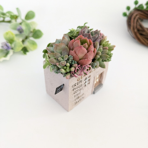 多肉植物♡届いたその日から飾れる寄せ植え♡エケベリア&セダム♡ 多肉