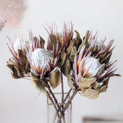 3b0a17cd4c4649411c2e298461f5ac