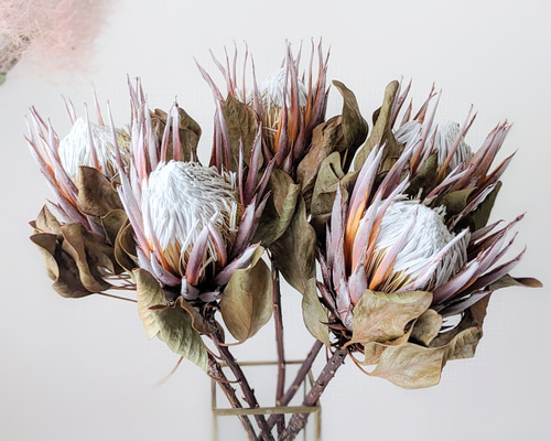 3b0a17cd4c4649411c2e298461f5ac