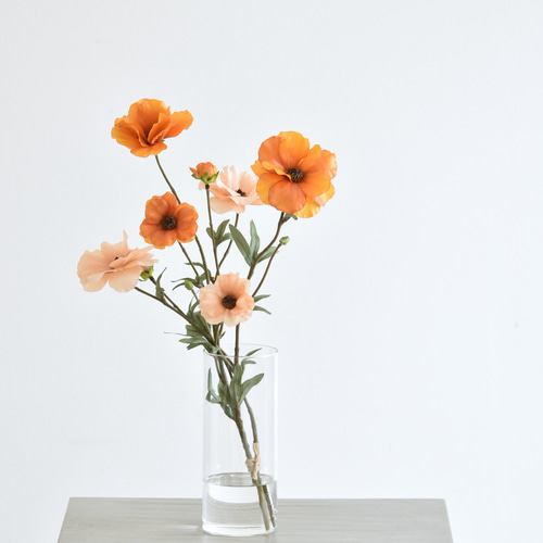 咲き続けるラナンキュラス(ラックス オレンジ＋ピーチ)のマジカル