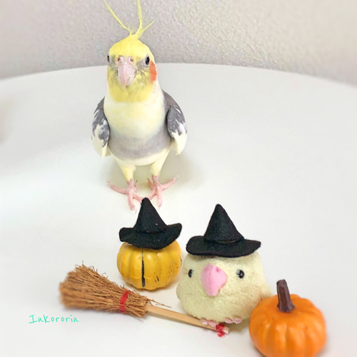 ハンドメイド　オーダー受付ページ　　♡ハロウィンインコ　パネル♡ ハンドメイド オーダー受付ページ ♡ハロウィンインコ パネル