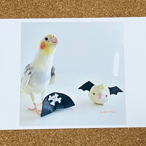 オカメインコ ハロウィンカード3枚セット ポストカード Inkororin 通販