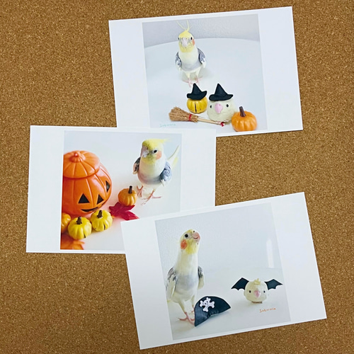 オカメインコ ハロウィンカード3枚セット ポストカード Inkororin 通販