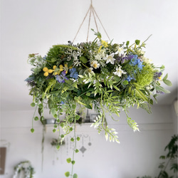 初夏　爽やかなグリーン　ドライフラワーフライングリース 初夏 爽やかなグリーンのドライフラワーフライングリース