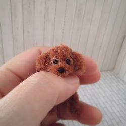 6d57f9881d681bb86a901dd5415df8