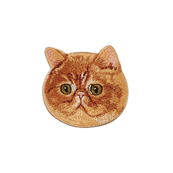 エキゾチックショートヘア　/ ワイヤーアート　ワイヤークラフト エキゾチックショートヘア 猫 / ワイヤーアート ワイヤークラフト