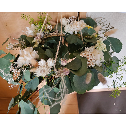 ユーカリフライングリース