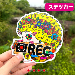 アニマル防水ステッカー♥カメレオン シール・ステッカー owocowac