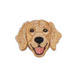 サンキューカード　30枚　ゴールデンレトリバー　ご注文受付中です☆ ステッカー ワッペン 刺繍 ゴールデンレトリバー ペットロス