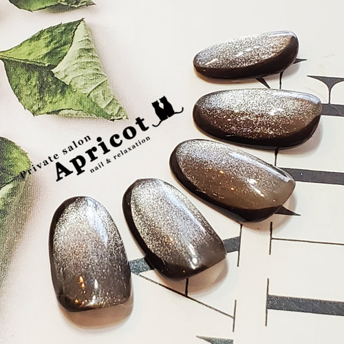 ネイルチップ ブラウン マグネットネイル 可愛い 上品 サイズ変更無料  