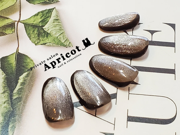 ネイルチップ ブラウン マグネットネイル 可愛い 上品 サイズ変更無料  