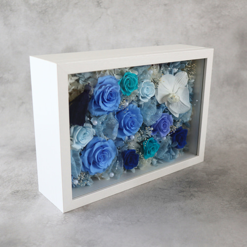 gradation-特大 胡蝶蘭-ブルー プリザーブドフラワーギフト 上品