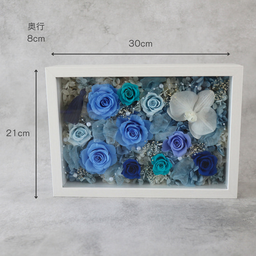 gradation-特大 胡蝶蘭-ブルー プリザーブドフラワーギフト 上品