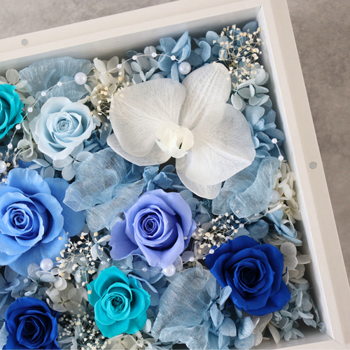gradation-特大 胡蝶蘭-ブルー プリザーブドフラワーギフト 上品