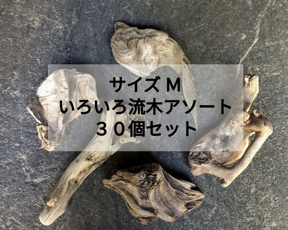 まがり屋流木【サイズM 】南信州産 天然流木 いろいろ流木【アソート大量３０個セット】格安まとめ売り 卸売