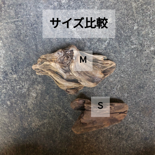 期間限定大量セット】【サイズS】南信州産 天然流木 いろいろ