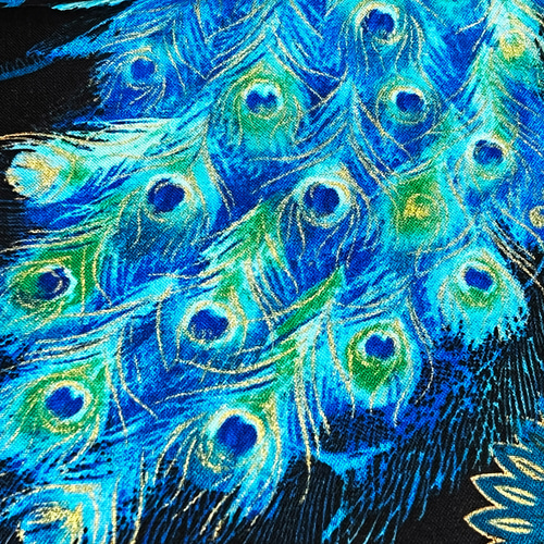 Michael Miller 110cm x 50cmずつ切売 - 孔雀の羽根自慢/Blue 生地