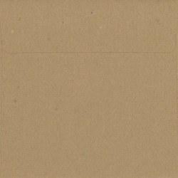 新柄入荷！大人のクリスマスカード！イギリス『ウィリアム・モリス「NOEL」』～封筒1・カード1～ 3枚目の画像