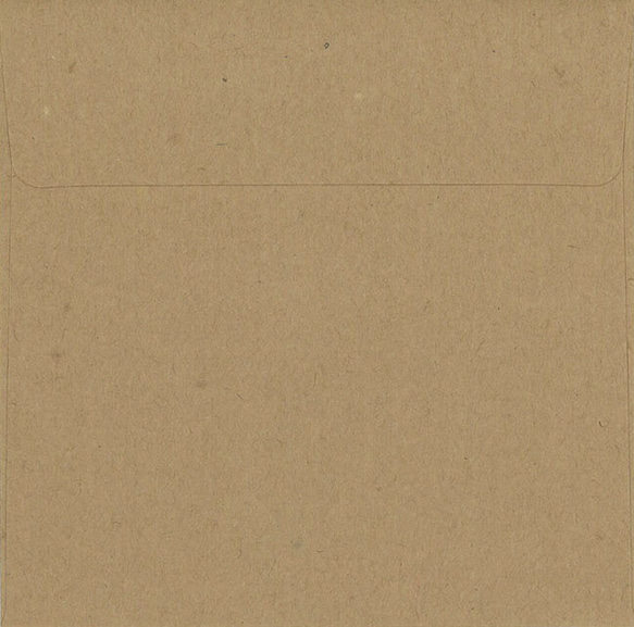 新柄入荷！大人のクリスマスカード！イギリス『ウィリアム・モリス「NOEL」』～封筒1・カード1～ 3枚目の画像