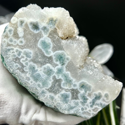 1576g カクタスクォーツ（サボテン水晶）原石 クラスター 特大