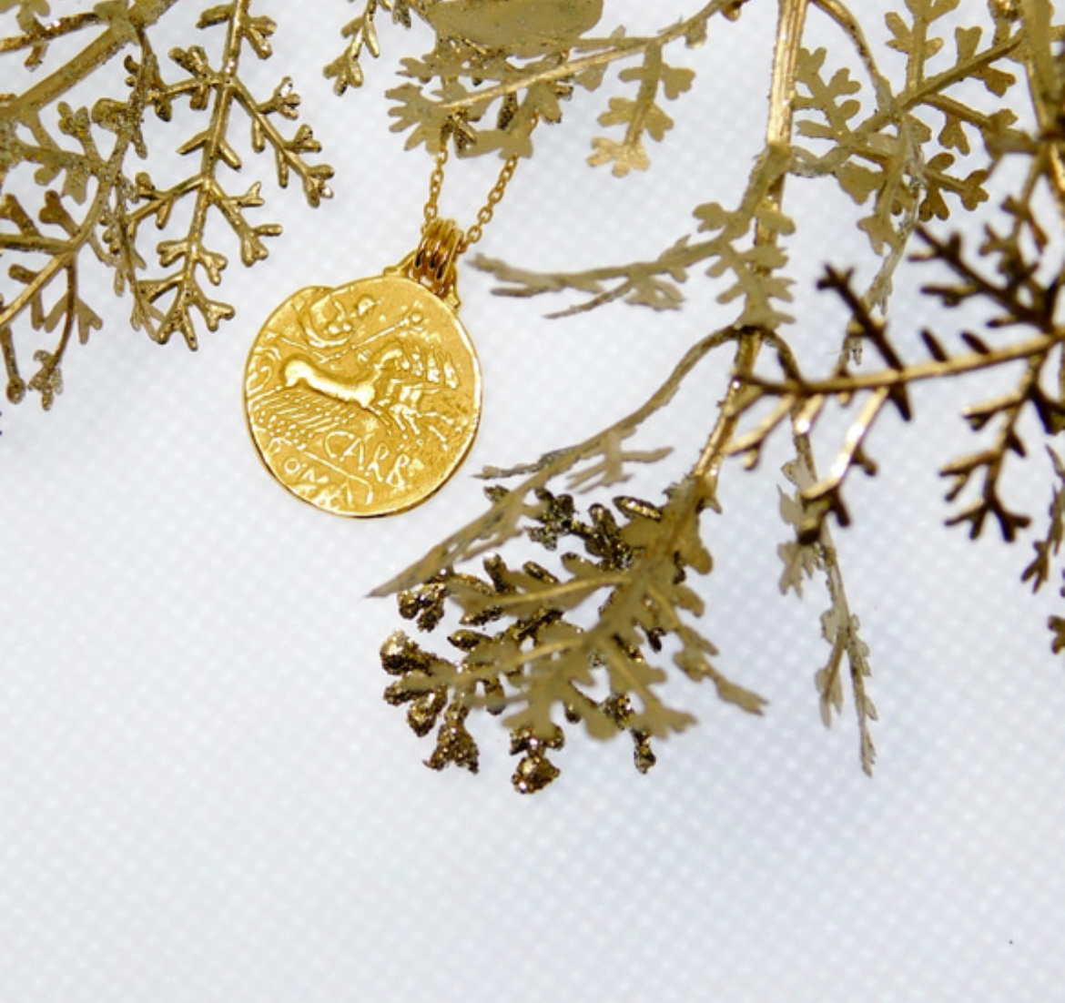 チャリオットのコインネックレス（両面タイプ・金色 or 銀色）