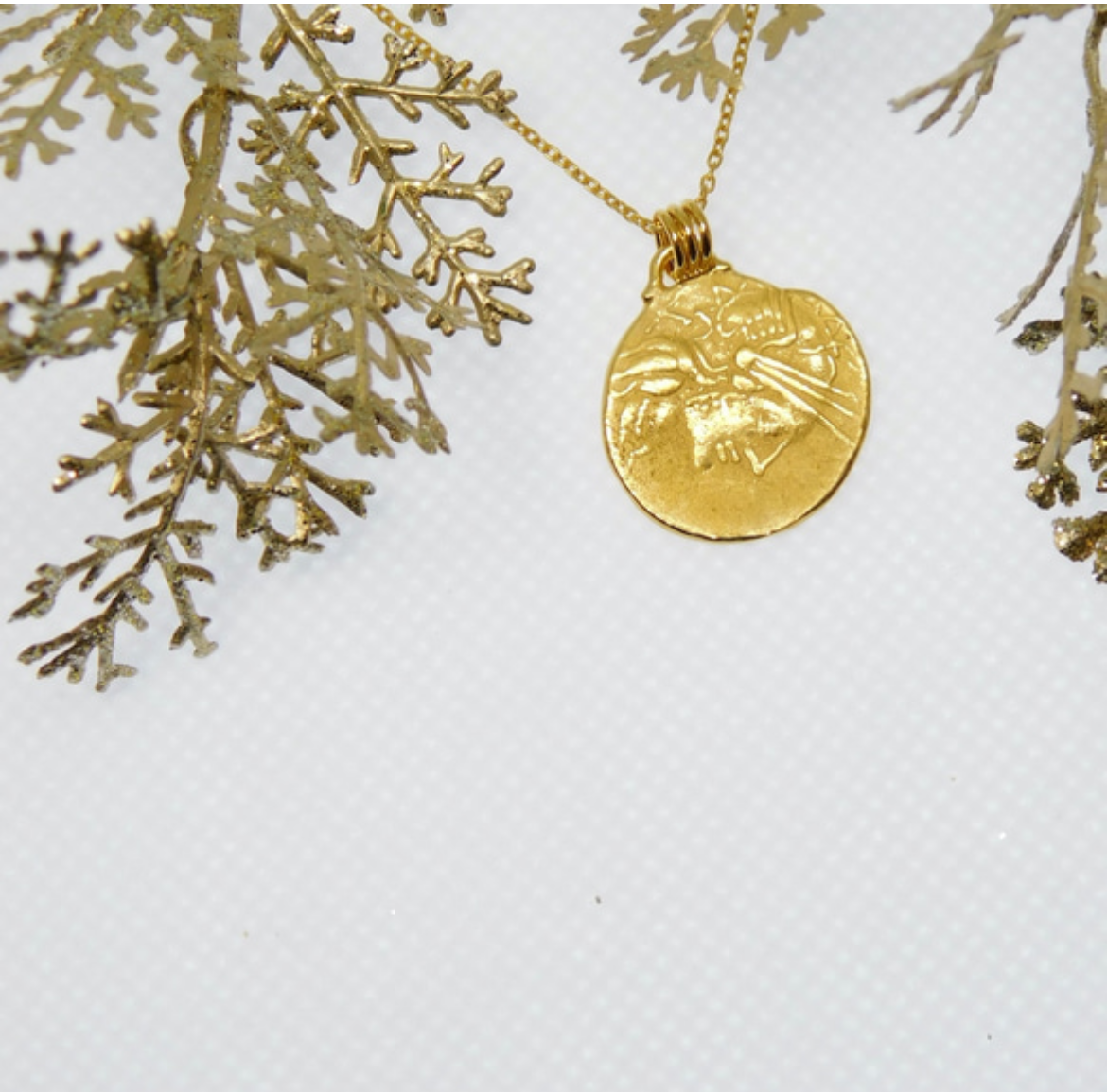 チャリオットのコインネックレス（両面タイプ・金色 or 銀色）