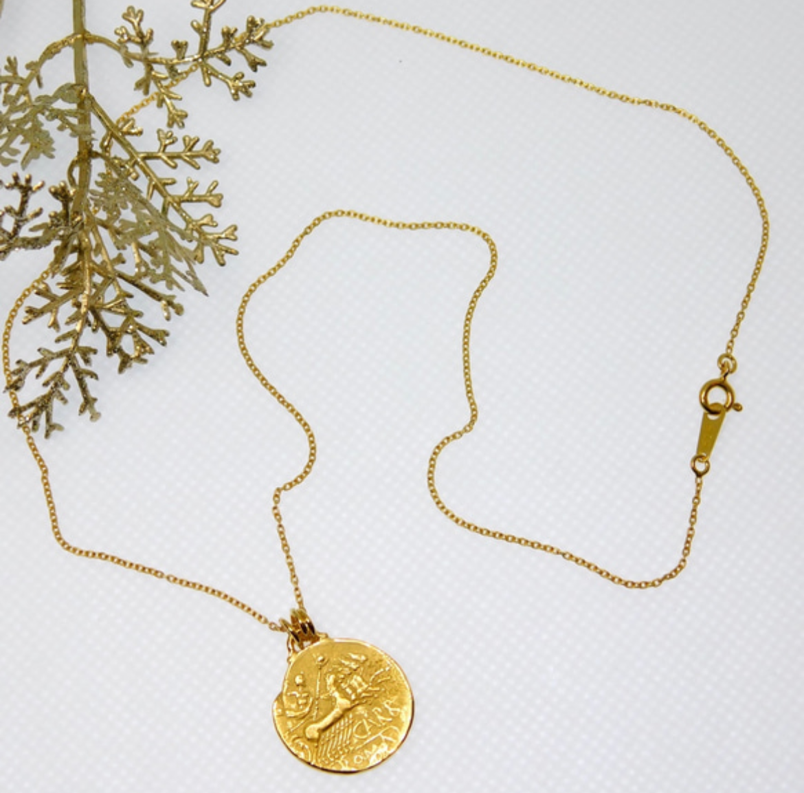 チャリオットのコインネックレス（両面タイプ・金色 or 銀色）