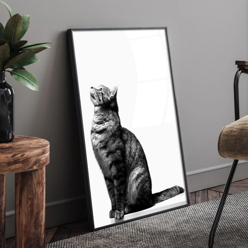 猫 ポスター】実写 猫の写真 絵画 モダン ポップアート 動物 絵