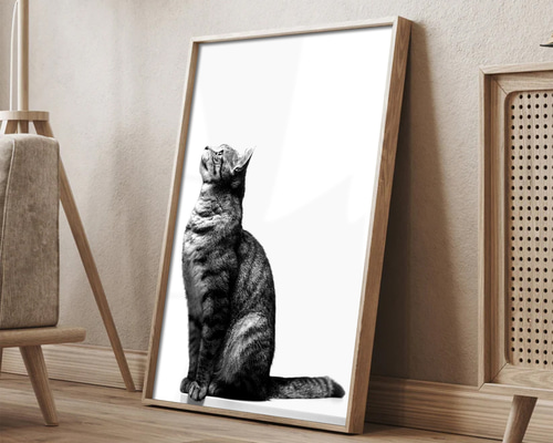 猫 ポスター】実写 猫の写真 絵画 モダン ポップアート 動物 絵