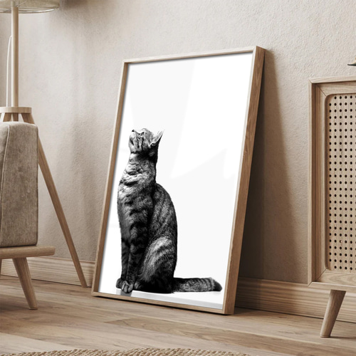 猫 ポスター】実写 猫の写真 絵画 モダン ポップアート 動物 絵